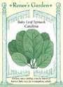Catalina Baby Leaf Spinach Seeds